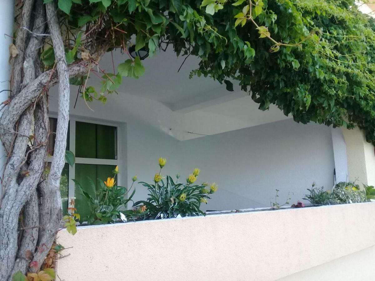 Montenegrina Apartment Budva Buitenkant foto